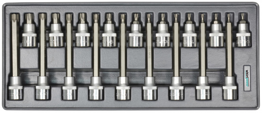 Набір головок зі вставкою Torx 1/2" Т20-Т60 18од ложемент-AN-SK55