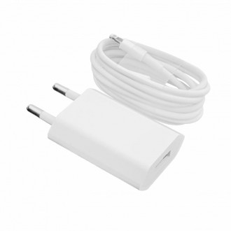 Зарядний пристрій + кабель Lightning LP АС-005 USB 5V 1A ОЕМ White-[articul]