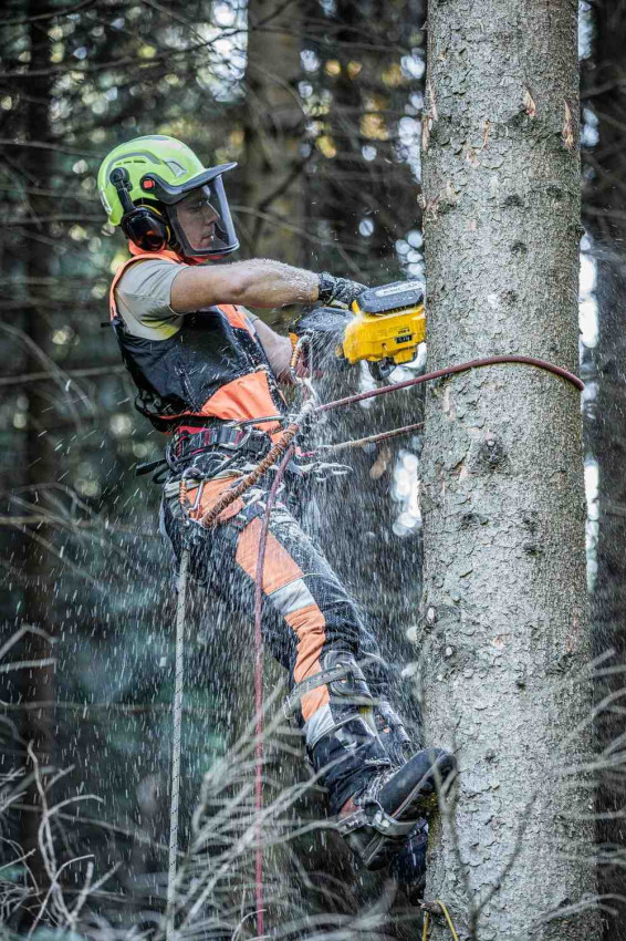 Пилка ланцюгова акумуляторна безщіткова з верхньою рукояткою DeWALT DCMCST635N-DCMCST635N