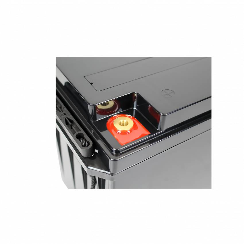 Акумулятор LP LiFePO4 для ДБЖ 24V - 100 Ah (BMS 60A/30А) пластик-