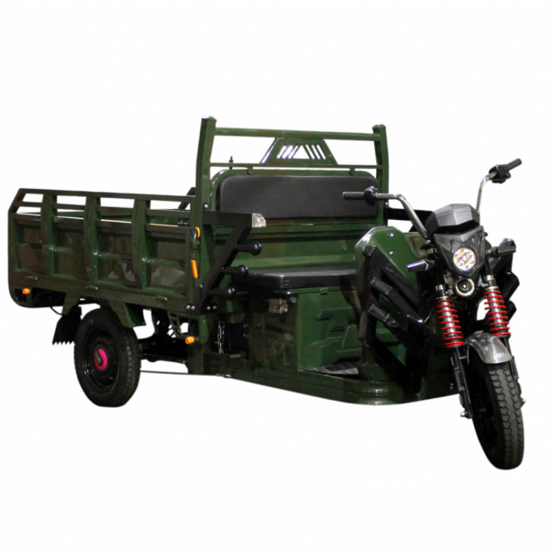 Електричний мопед TRIGO JJ1.6 1000W/60V/50AH(DZM) (зелений)-