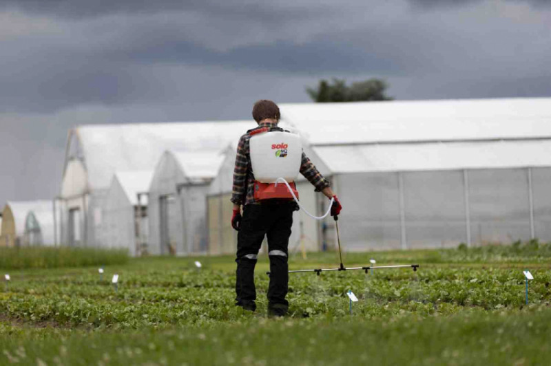 Обприскувач акумуляторний ранцевий SOLO 442NEW-442NEW