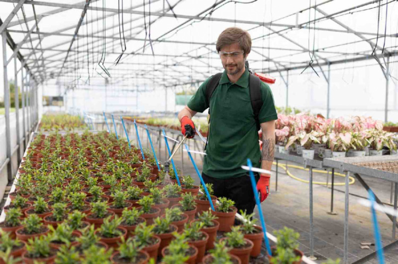 Обприскувач акумуляторний ранцевий SOLO 442NEW-442NEW