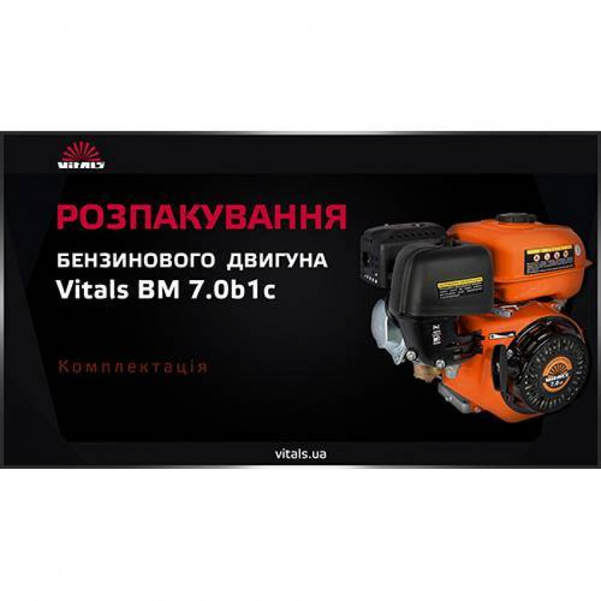 Двигун бензиновий Vitals BM 7.0b1с-54004