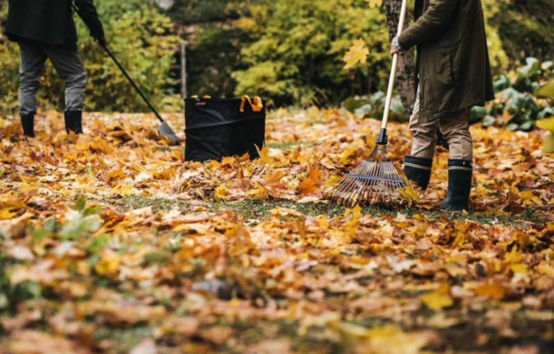 Граблі віялові для листя FISKARS Prima FSC-7317796551702