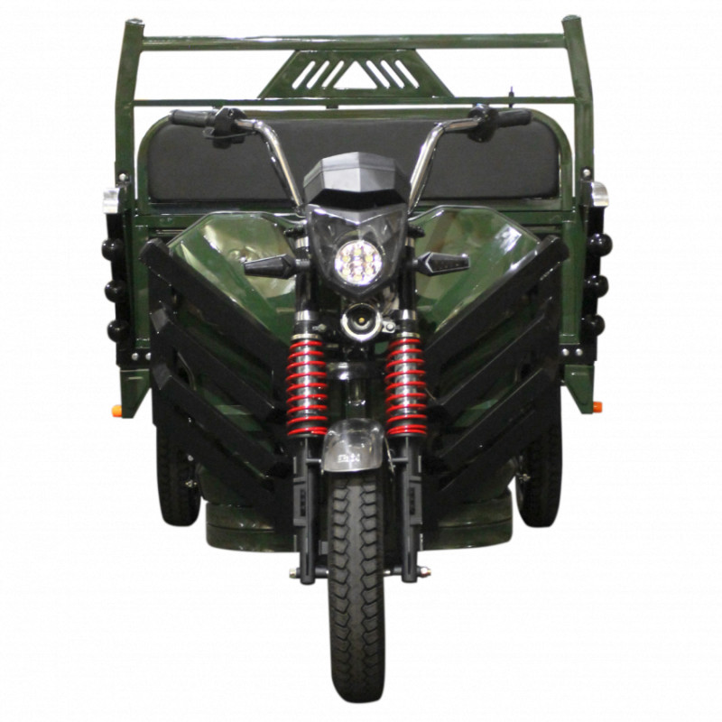 Електричний мопед TRIGO JJ1.6 1000W/60V/50AH(DZM) (зелений)-