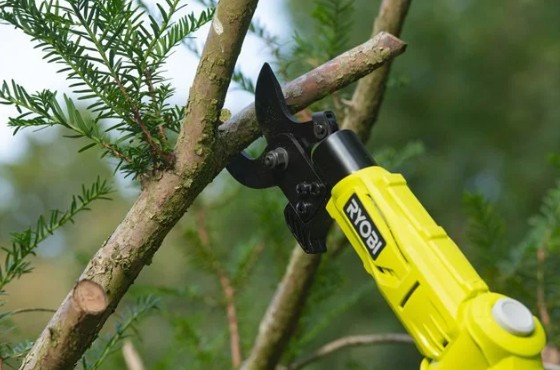 Сучкорез телоскопічний RYOBI RY18PLA-0, ONE+ 18В, 32мм, 250Нм (каркас)-5133004575
