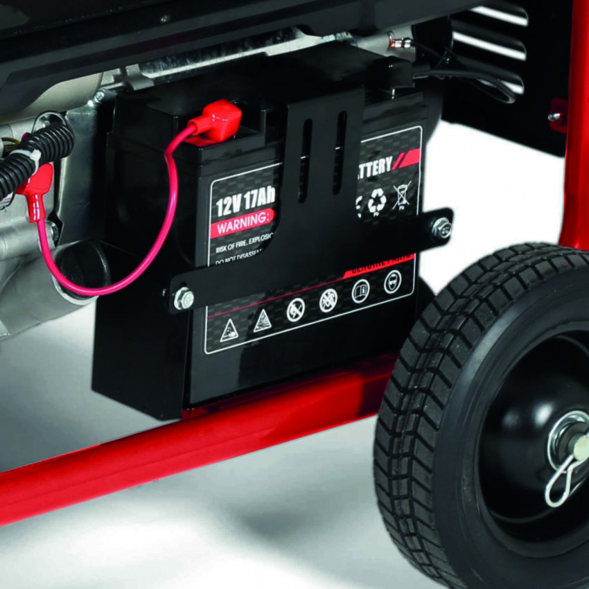 Генератор бензиновий Einhell TC-PG 8000 (4152640)-