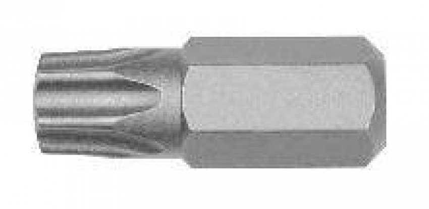 Бита Torx20 (під головку 10мм) 2шт-16146-41-03020