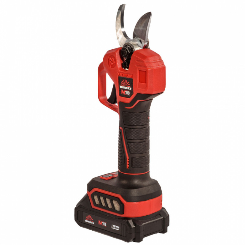 Секатор акумуляторний Vitals Master AG 1825ck BL Kit-235297