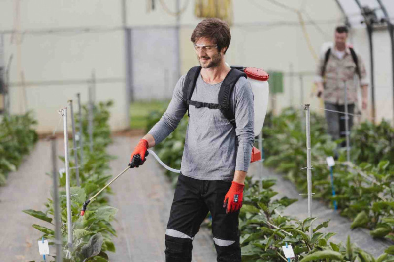 Обприскувач акумуляторний ранцевий SOLO 442NEW-442NEW