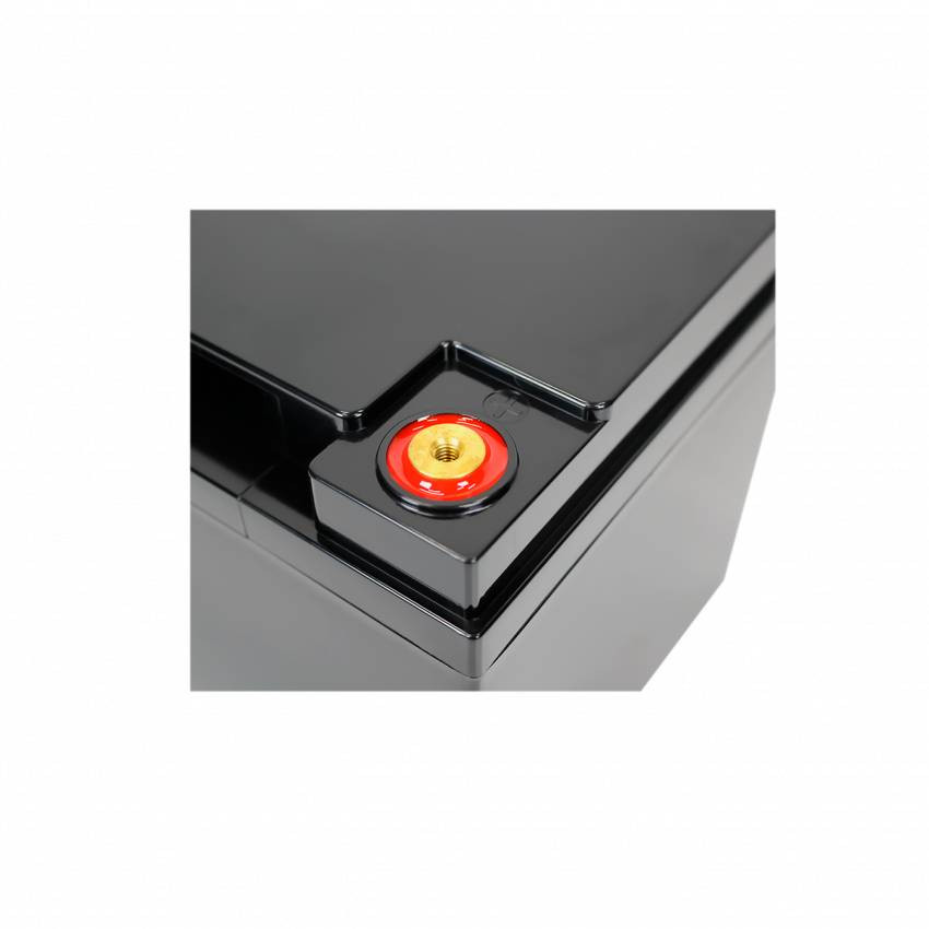 Акумулятор LP LiFePO4 12V - 52 Ah (BMS 80A/40А) пластик-