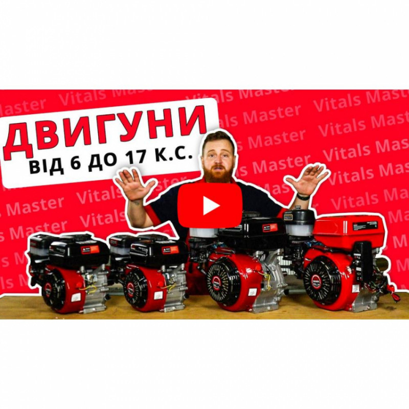 Двигун бензиновий Vitals Master QBM 15.0-119631
