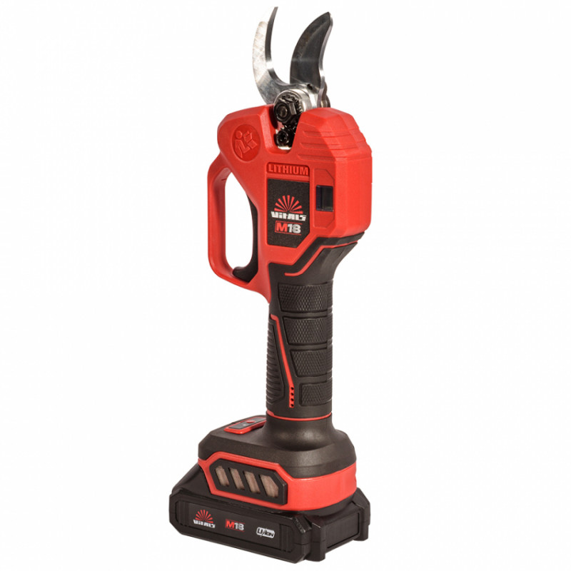 Секатор акумуляторний Vitals Master AG 1830cdk BL Kit-235299