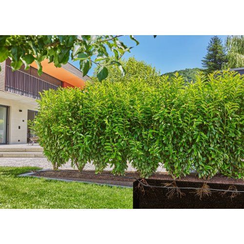 Шланг для мікрокрапельного поливу Gardena Micro-Drip-System 13 мм 25 м-13503-20.000.00